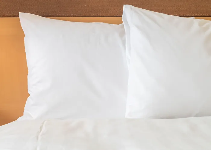 فندق Crowne Plaza By Ihg 4*